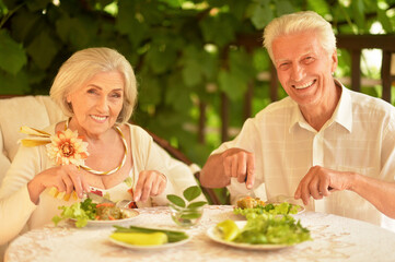 Portrait of happy senior couple having diner in the summer park