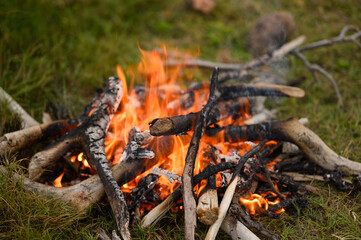 Bonfire on sea background in wild nature. Picnic time