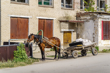 A horse harnessed to a cart near an abandoned building of the House of Culture in a Russian village. The picture was taken in Russia, in the Chelyabinsk region, in the village of Kalininsky