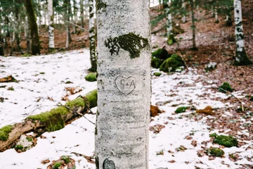 Zelfklevend Fotobehang Tree trunk with a carved heart and initials in Biogradska Gora park. Montenegro © Nadtochiy