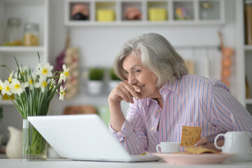 Obraz na płótnie Canvas senior woman using laptop at home
