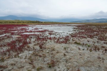 Salt Big Algin Lake, Baruzin Valley, Buryatia