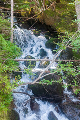 Kleiner Wasserfall in der Steiermark mit weichgezeichnetem Wasser, außergewöhnliche...