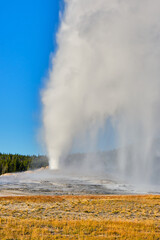 Old Faithful cone geyser in Yellowstone National Park