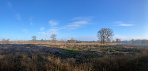 Fototapeta premium Panorama from the Sallandse Heuvelrug national park
