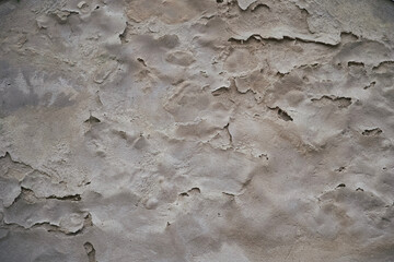 Old Plaster Wall Texture with peeling plaster or paint on an ancient building on a cemetery in Berlin. Damaged by weather