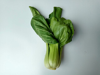 Brassica rapa chinensis or chinese cabbage or pakcoy or bok choy. Isolated on white background.