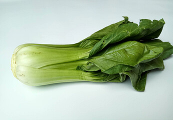 Brassica rapa chinensis or chinese cabbage or pakcoy or bok choy
