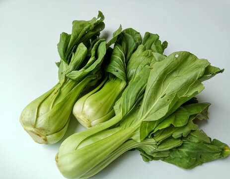 Brassica rapa chinensis or chinese cabbage or pakcoy or bok choy. Isolated on white background.