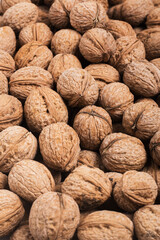 Background from fresh walnuts in the shell. Top view, flat lay.