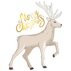 Deer with Christmas balls on the horns. Christmas card with a deer and letters.