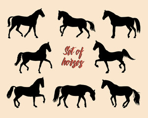 a set of silhouettes of female riders isolated on a white background, seamless background, pattern for decoration, equestrian 