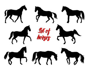 a set of silhouettes of female riders isolated on a white background, seamless background, pattern for decoration, equestrian 