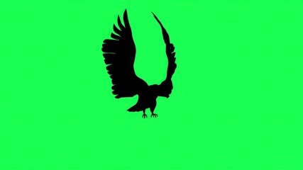 3d illustration - silhouette  of Falcon Gliding and Flapping isolated on green screen