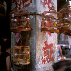 Vogelmartkt, Hongkong, China