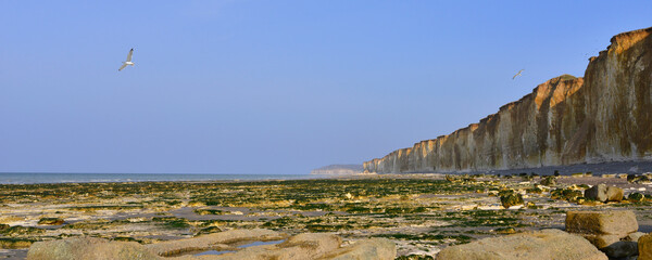 Panoramique vestiges de constructions tombées avec la chute des falaises qui reculent à Saint-Aubin-sur-Mer (76740), département de la Seine-Maritime en région Normandie, France