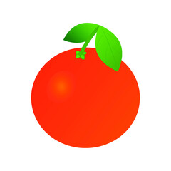A grapefruit with leaves in vector 