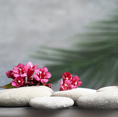 Spa stones with palm branch and weigela flowers on grey background.