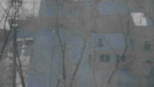 Snowflakes in sunlight. Snowfall in the city. Lighted snowflakes with city background. Snowflakes in sunny winter day.