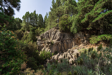 A geological formation, a basalt rock formation in the shape of a rose. Mirador (viewpoint) de La...