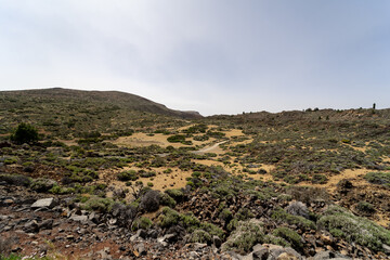 Fototapeta na wymiar Desert landscape from Las Canadas caldera of Teide volcano. Tenerife. Canary Islands. Spain.