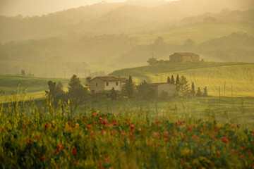 Tuscany, italy, may 2018, white farmhouses on a meadow drenched in the setting sun, it is raining,...