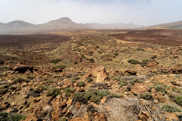 Desert landscape from Las Canadas caldera of Teide volcano. Mirador El Tabonal Negro (Viewpoint...