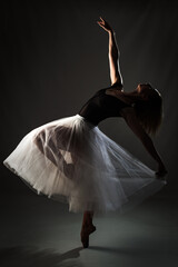 ballerina with a white dress and black top posing on gray background. © Nikola Spasenoski