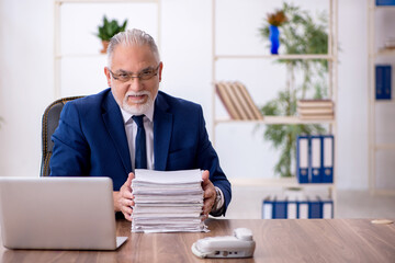 Old male employee working in the office