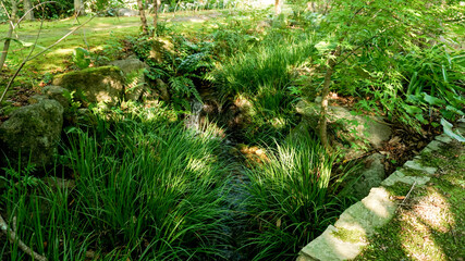 自然が溢れる福智山ろく花公園