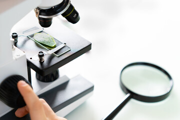 close-up microscope and plant study, increasing and studying nature