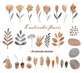 Set of watercolor botanical flower isolated on white background, hand drawn floral elements 