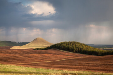 Hilly area in spring. Plowed fields in the hills, meadow, mountain, forest. Dramatic sky.