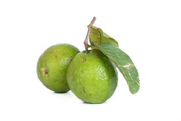 Guava fruits