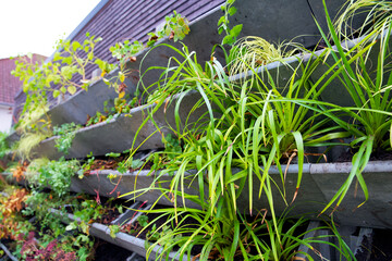 Vertical green wall garden for urban greening and climate adaptation