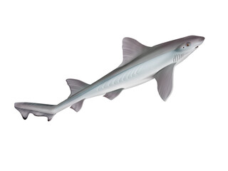 Fototapeta premium requin , emissole lisse , poisson, mer, animal, vecteur, océan, dangereux, blanc, isolé, sous-marin, bleu, dauphin, illustration, ailette, eau, prédateur, nature, , marin, nage, faune, danger, nager,