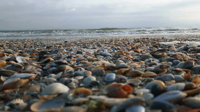 The seashore is strewn with colored shells and small pebbles. The sea wave rolls onto the sandy shore strewn with colored shells.Close-up of multi-colored seashells on the sandy shore.