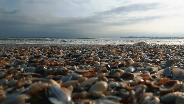 The seashore is strewn with colored shells and small pebbles. The sea wave rolls onto the sandy shore strewn with colored shells.