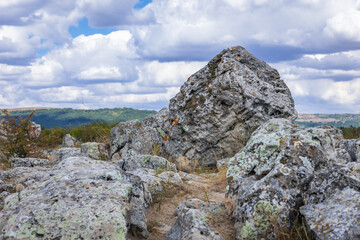 Fototapeta na wymiar Close up on a rock in Pobiti Kamani - natural phenomenon called Stone Forest in Bulgaria