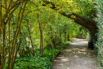 Park, drzewa, droga, liście, miejsce, alejka, lato, przyjemność, spacer, słońce, 