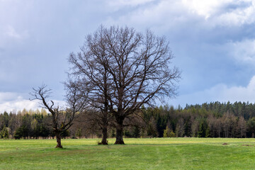 Krajobraz wiejski Podlasia, Polska