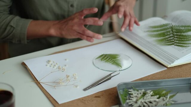 woman fixes glass plates. A picture of dried flowers. Master class on creating frame with Herbarium in tiffany technique in stained glass.