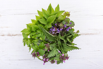 Bowl of fresh wild herbs