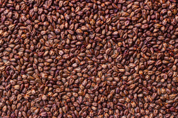 Grape seed texture. Wine by-product