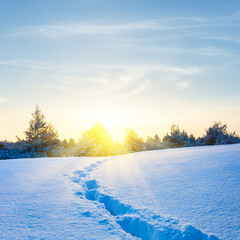 snowbound forest glade with human track at the sunset, natural seasonal outdoor scene © Yuriy Kulik