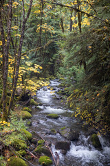 Mountain Streams