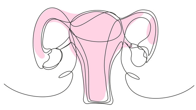 Woman's uterus in one line with a pink spot on a white background. A simple illustration of a woman's reproductive organs. The concept of health, childbirth, menstruation, sex life, treatment.