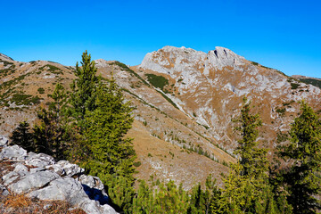 Fall colours in National Park Retezat, Romania, Europe