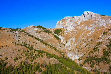 Fall colours in National Park Retezat, Romania, Europe