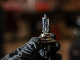 Halogen light bulb H4 above the black car. A professional worker changes the new halogen lamps of...